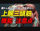 【筋トレ】上腕三頭筋の機能と注意点、セット数・レップ数・頻度・メニュー | ボディビルチャンピオンが解説【ビーレジェンド プロテイン】