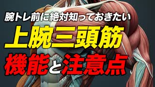 【筋トレ】上腕三頭筋の機能と注意点、セット数・レップ数・頻度・メニュー | ボディビルチャンピオンが解説【ビーレジェンド プロテイン】