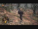ダークソウル３カンスト世界で遊ぶ箱09