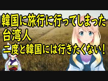 【韓国の反応】韓国に旅行に行ってしまった台湾人、二度と韓国には行きたくないと吐露【世界の〇〇にゅーす】