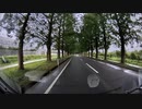 落雷による倒木衝突の瞬間
