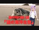 【怖い話】謎の海洋生物(謎の海洋生物/voiceroid怪談/結月ゆかり/紲星あかり/琴葉茜/琴葉葵)