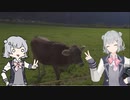 破壊シミュレーター【VOICEROID実況】【小春六花】