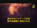 コロナワクチンを接種した患者で4～7日後にD-ダイマー血液検査の結果、62%が血栓形成を示していた。