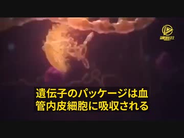コロナワクチンを接種した患者で4～7日後にD-ダイマー血液検査の結果、62%が血栓形成を示していた。