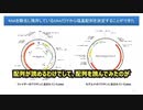 コロナワクチンのプラスミドDNA汚染 　村上康文（東京理科大 名誉教授）