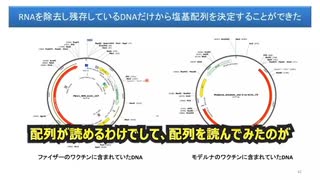 コロナワクチンのプラスミドDNA汚染 　村上康文（東京理科大 名誉教授）