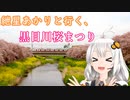 紲星あかりと行く、黒目川桜まつり１（埼玉県新座市）