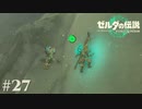 【ゼルダの伝説 Tears of the Kingdom】優雅に飛びやがって！【実況】#27
