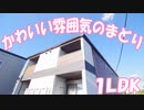 かわいいお部屋 インテリアに便利な間取り １LDKハナミズキC 岡山市南区福田