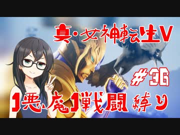 【真・女神転生V】1悪魔1戦闘縛り part36【花隈千冬実況】