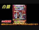 白猫　９周年ガチャリンクニューワールズガチャは引くべき？３０連結果！ガチャキャラ　グラハム（剣）ジン（拳）アイリス＆赤髪（弓）イクシア（輝剣）　９周年イベントEP４　【白猫プロジェクト】