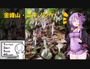 【シンプル車載動画投稿祭】ハンターカブでツーリング　～南さつま市金峰山～