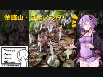 【シンプル車載動画投稿祭】ハンターカブでツーリング　～南さつま市金峰山～