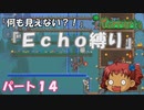 [Terraria]　『Ｅｃｈｏ縛り』パート１４　[ゆっくり実況]