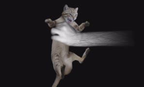 【箱庭村奇談】猫の鳴き声の化け物から逃げる【2】