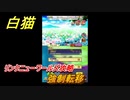 白猫　リンクニューワールズ攻略　強制転移　ガチャキャラ　グラハム（剣）ジン（拳）アイリス＆赤髪（弓）イクシア（輝剣）　９周年イベントEP４　＃７　【白猫プロジェクト】