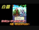 白猫　リンクニューワールズストーリー　５話　何もわからない　ガチャキャラ　グラハム（剣）ジン（拳）アイリス＆赤髪（弓）イクシア（輝剣）　９周年イベントEP４　＃８　【白猫プロジェクト】