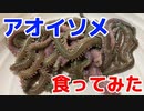 釣りするよりも釣り餌喰った方が早くね？