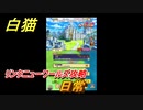 白猫　リンクニューワールズ攻略　日常　ガチャキャラ　グラハム（剣）ジン（拳）アイリス＆赤髪（弓）イクシア（輝剣）　９周年イベントEP４　＃１２　【白猫プロジェクト】
