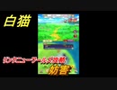 白猫　リンクニューワールズ攻略　妨害　ガチャキャラ　グラハム（剣）ジン（拳）アイリス＆赤髪（弓）イクシア（輝剣）　９周年イベントEP４　＃１４　【白猫プロジェクト】