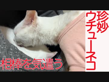 ウチューネコ、不調の相棒をケアする