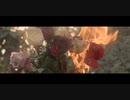 No Home - Nothing Grows Here (OFFICIAL MUSIC VIDEO)