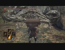 ダークソウル３カンスト世界で遊ぶ箱10