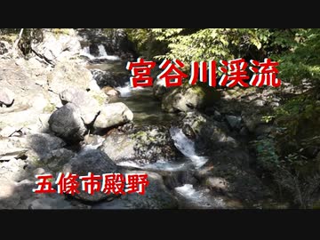 五條市殿野　宮谷川渓流