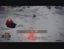 エルデンリング TMCターニッシュドメイクライ侵入part90