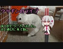 【ゼルダの伝説Botw Part3】地面は友達、怖くない（落下）【何もしていないのにリンクが壊れた】【うさぎが運営してるVtuber】