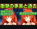 【ニャー】#90　笑顔からは想像出来ない波乱万丈な人生【ノラと皇女と野良猫ハート】