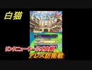 白猫　リンクニューワールズ攻略　アレス防衛戦　ガチャキャラ　グラハム（剣）ジン（拳）アイリス＆赤髪（弓）イクシア（輝剣）　９周年イベントEP４　＃１９　【白猫プロジェクト】