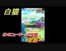 白猫　リンクニューワールズ攻略　家路　ガチャキャラ　グラハム（剣）ジン（拳）アイリス＆赤髪（弓）イクシア（輝剣）　９周年イベントEP４　＃２１　【白猫プロジェクト】