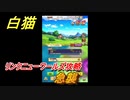 白猫　リンクニューワールズ攻略　急襲　ガチャキャラ　グラハム（剣）ジン（拳）アイリス＆赤髪（弓）イクシア（輝剣）　９周年イベントEP４　＃２４　【白猫プロジェクト】