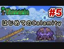 【Terraria】はじめてのCalamity　Part5 【ゆっくり実況】