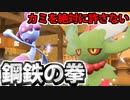 【実況】ポケモンSVでたわむれる 神殺しの拳