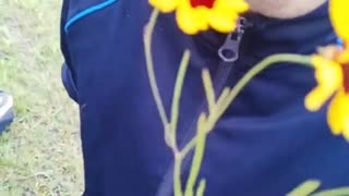 このお花はあきにゃんみたいだね