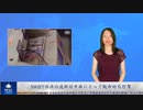 SWIFT決済の遮断は中共にとって致命的な打撃