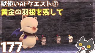 轟くFF11＿復帰プレイ177　獣使いAFクエスト①「黄金の羽根を残して」