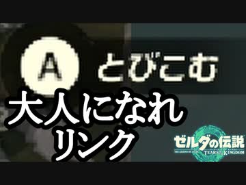 ゼルダの伝説 ティアーズオブザキングダム ボイロ実況プレイ Part19