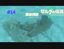 ティアキン #14 リトの村のチューリ3 風の神殿 ゼルダの伝説 ティアーズ オブ ザ キングダム