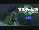 ティアキン #16 ソニアの無惨 地上絵09 コログ ポーチ拡張 ゼルダの伝説 ティアーズ オブ ザ キングダム