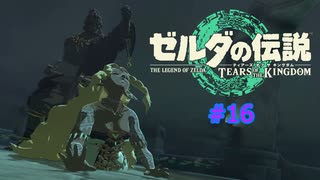 ティアキン #16 ソニアの無惨 地上絵09 コログ ポーチ拡張 ゼルダの伝説 ティアーズ オブ ザ キングダム
