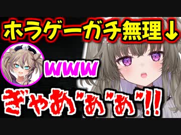 ホラーガチ無理なVtuberたちでホラゲーやった結果、ガチの悲鳴が出る【Demonologist/冥鳴ひまり/春日部つくし/切り抜き】