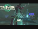 ティアキン #19 シド ゼルダの伝説 ティアーズ オブ ザ キングダム
