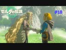 ティアキン #18 見知らぬ世界 地上絵04 ゾーラの里へ ゾラ台地 鳥望台 ゼルダの伝説 ティアーズ オブ ザ キングダム