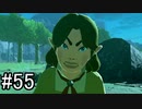 【実況】空の島から始まる新たな冒険【ゼルダの伝説 ティアーズ オブ ザ キングダム】part55