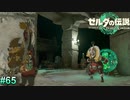 [ゼルダの伝説TotK　#65] 　変装のリンクを見破ったのは素直にすごい