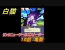 白猫　リンクニューワールズストーリー　１５話　亀裂　ガチャキャラ　グラハム（剣）ジン（拳）アイリス＆赤髪（弓）イクシア（輝剣）　９周年イベントEP４　＃２５　【白猫プロジェクト】